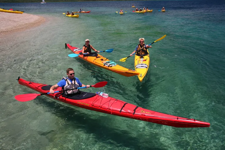 Whitsundays Kayaking Turtle Tour - Half Day | Experience Oz