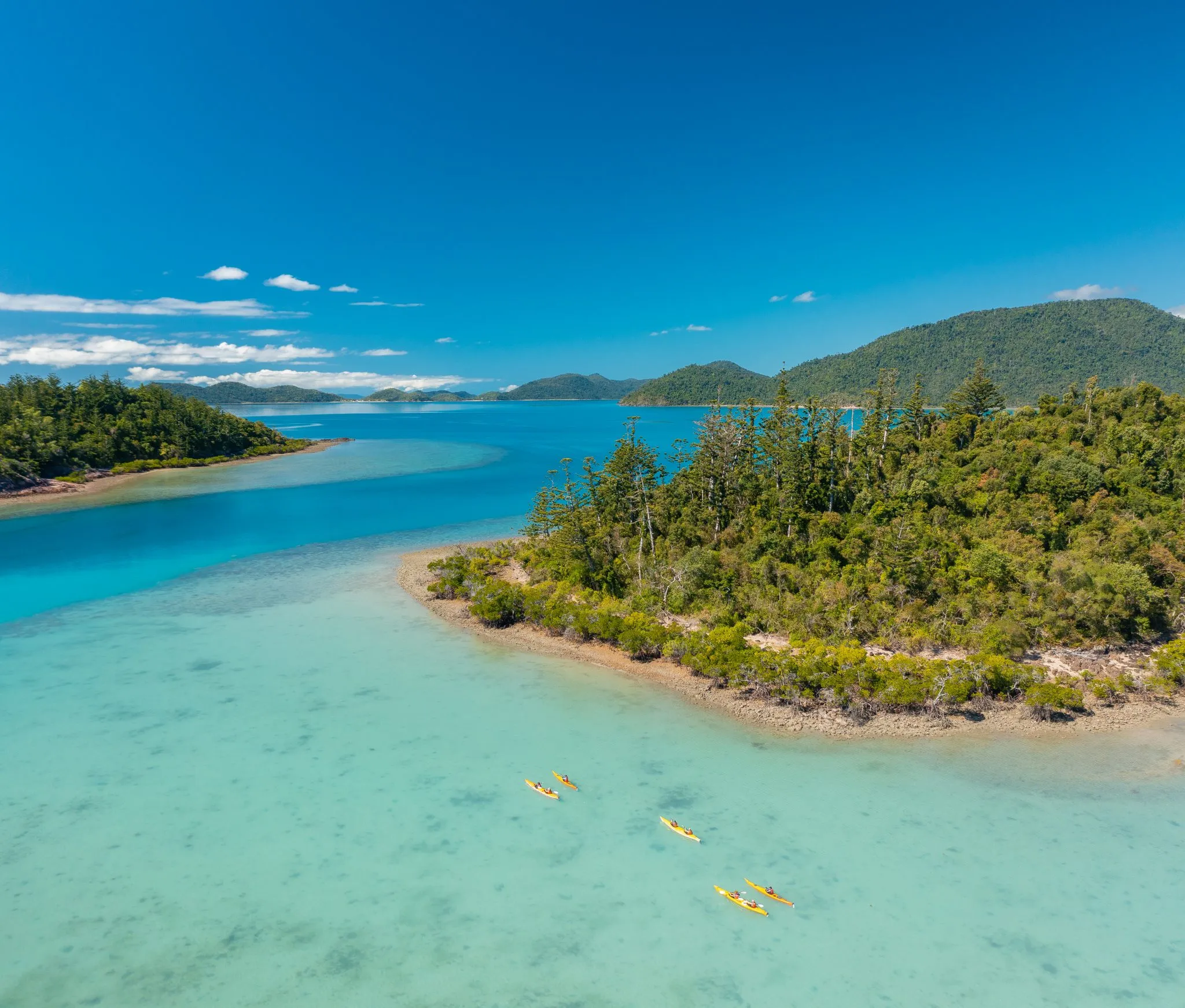 Whitsundays Kayaking Turtle Tour - Half Day | Experience Oz-7