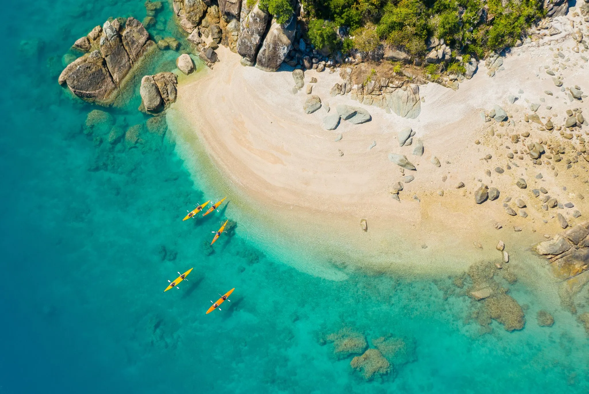 Whitsundays Kayaking Turtle Tour - Half Day | Experience Oz-3