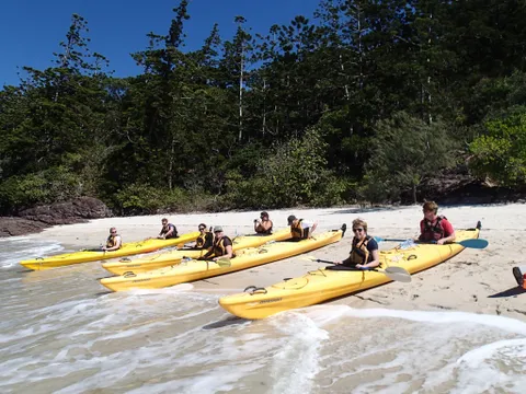 Whitsundays Kayaking Guided Turtle Tour - Half Day