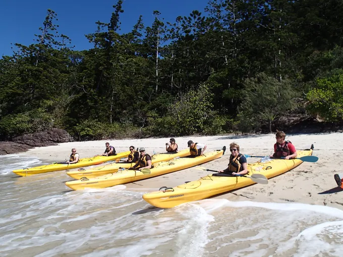 Whitsundays Kayaking Turtle Tour - Half Day | Experience Oz