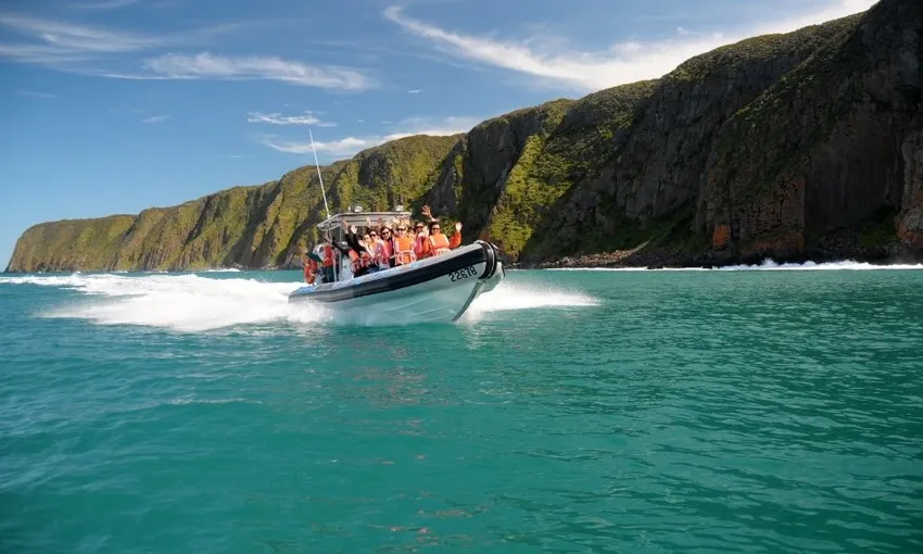 Adelaide Seal Island Tour | Experience Oz
