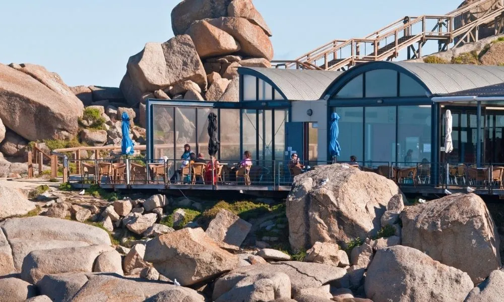 Adelaide Seal Island Tour | Experience Oz-6