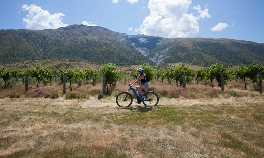 Valley of the Vines Bike Wine Tour - Book Now | Experience Oz