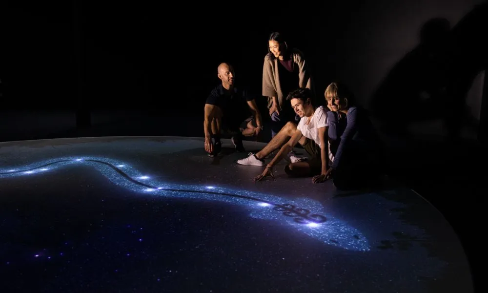 Dark Sky Experience Indoor - Book Now | Experience Oz-6