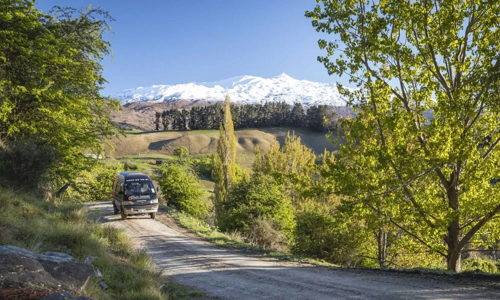  Queenstown Hill Clay Target Shooting - Book Now | Experience Oz-5
