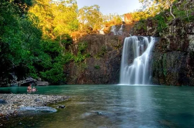 Cedar Creek Falls Express Eco Tour - 3 Hours | Experience Oz-1