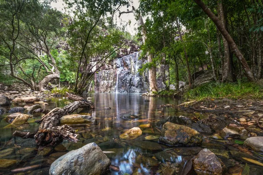Cedar Creek Falls Express Eco Tour - 3 Hours | Experience Oz-4