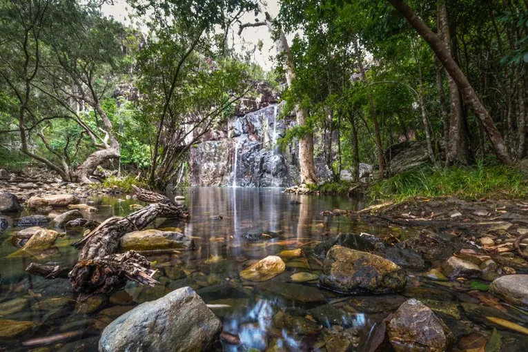 Cedar Creek Falls Express Eco Tour - 3 Hours | Experience Oz