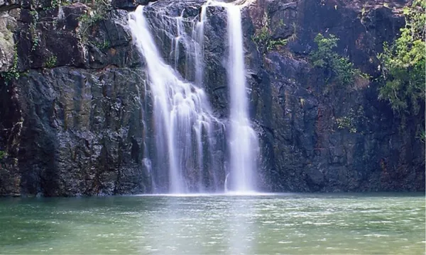 Cedar Creek Falls Express Eco Tour - 3 Hours