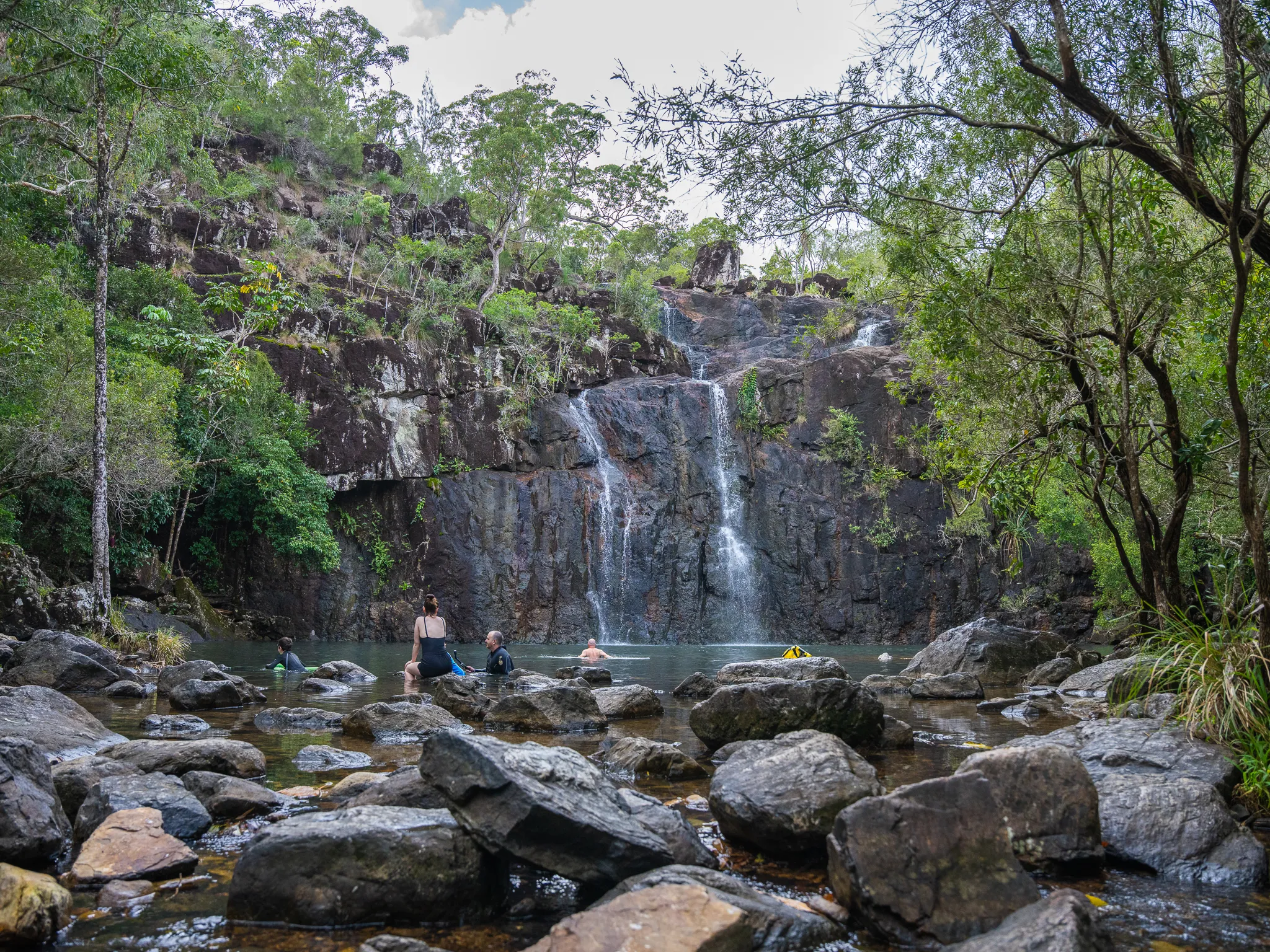 Cedar Creek Falls Express Eco Tour - 3 Hours | Experience Oz-7