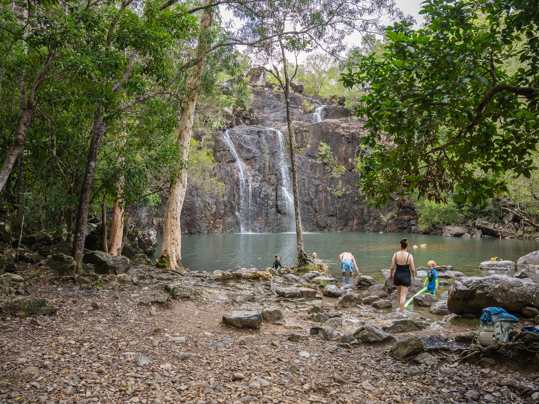 Cedar Creek Falls Express Eco Tour - 3 Hours | Experience Oz-8
