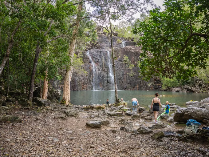 Cedar Creek Falls Express Eco Tour - 3 Hours | Experience Oz