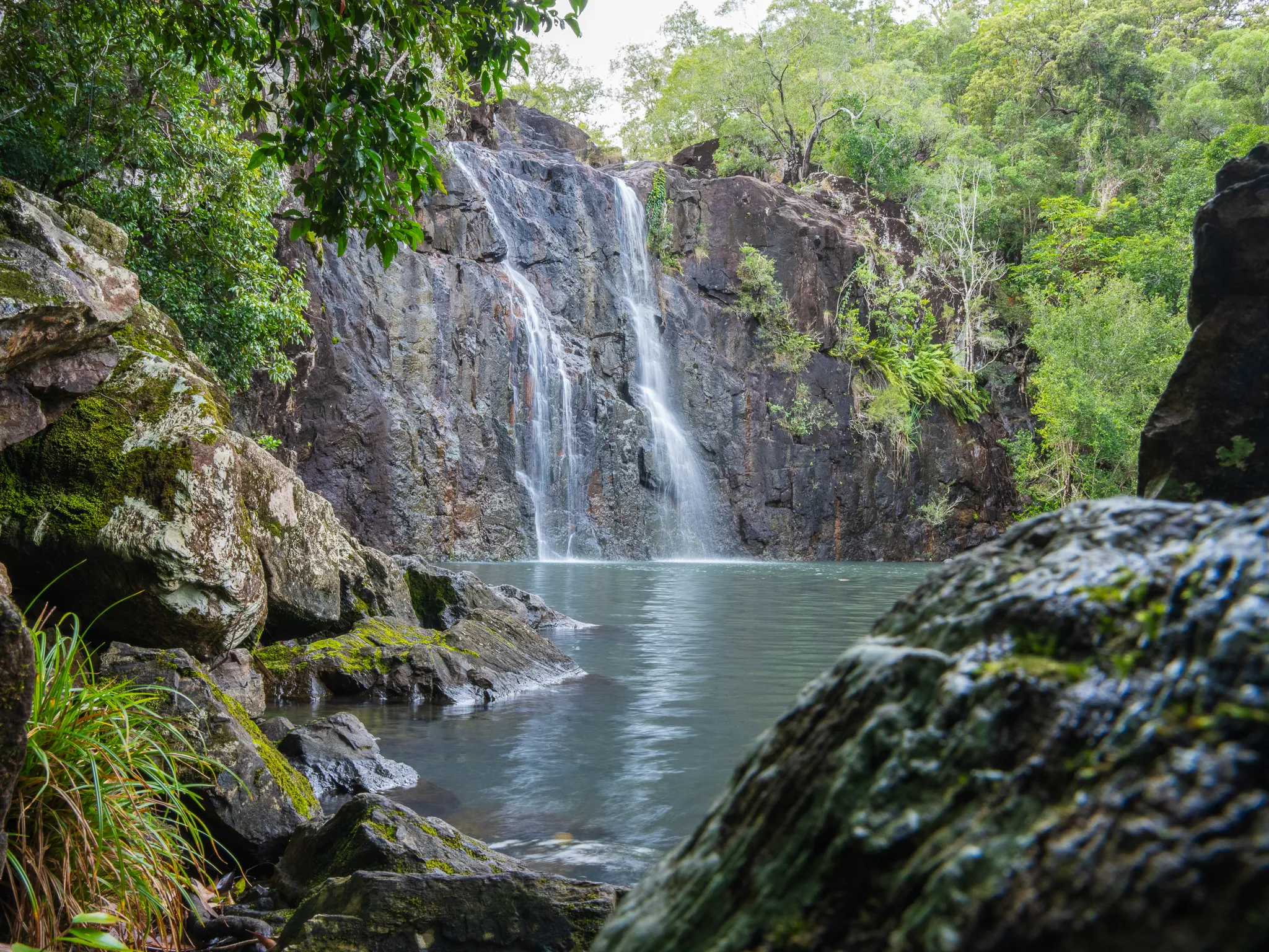 Cedar Creek Falls Express Eco Tour - 3 Hours | Experience Oz-9