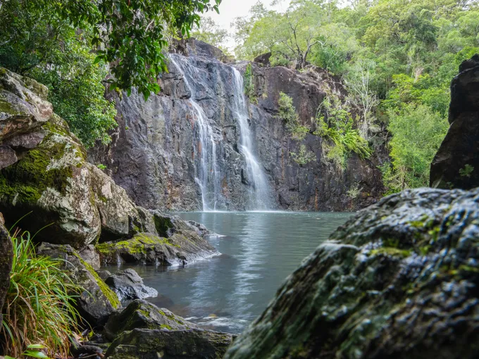 Cedar Creek Falls Express Eco Tour - 3 Hours | Experience Oz