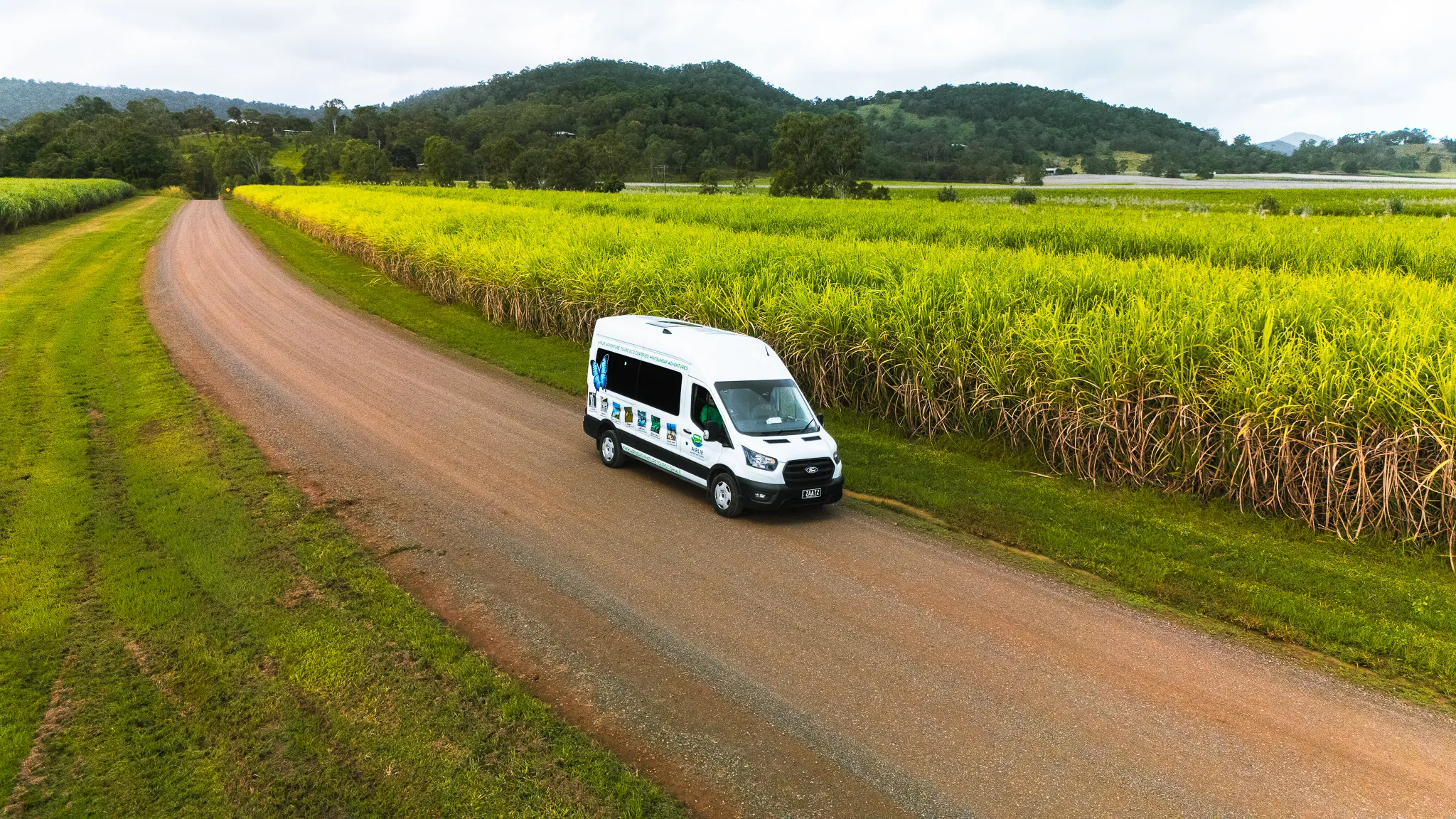 Cedar Creek Falls Express Eco Tour - 3 Hours | Experience Oz-14
