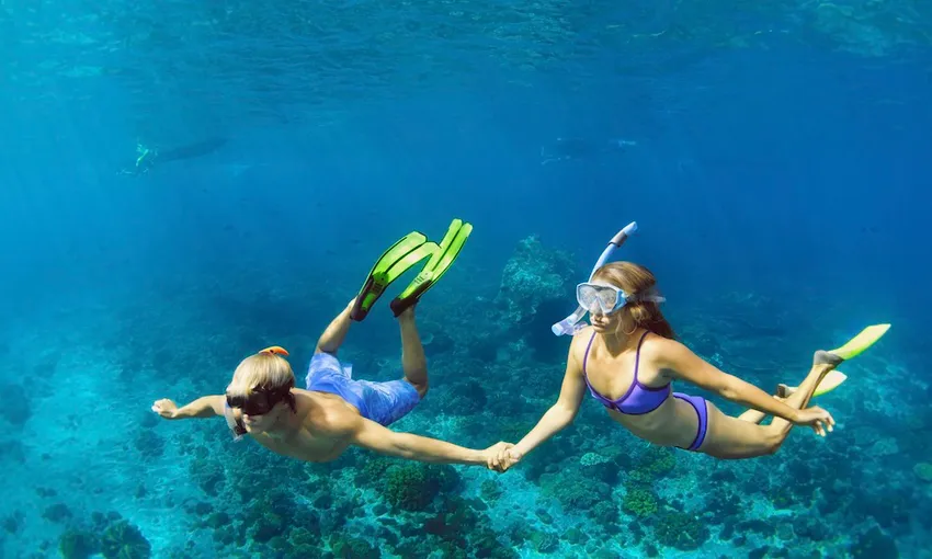Full Day Great Barrier Reef Low Isles Tour - Book Now | Experience Oz