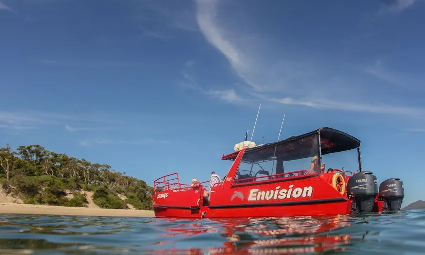 Port Stephens Dolphin Watch Express Cruise | Experience Oz