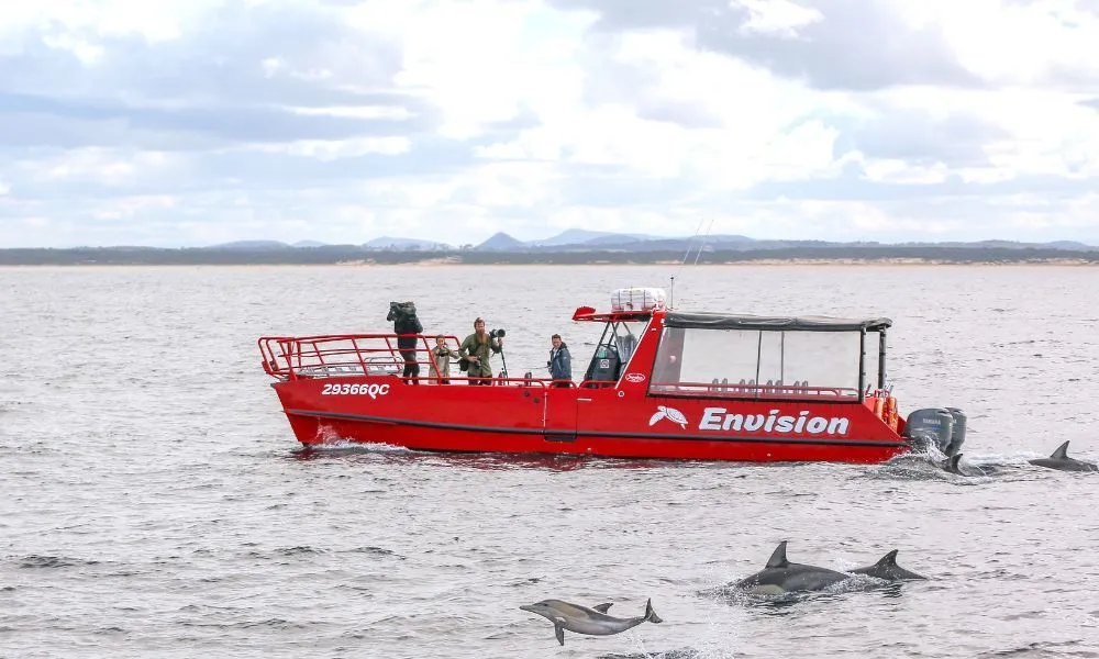 Port Stephens Dolphin Watch Express Cruise | Experience Oz-4