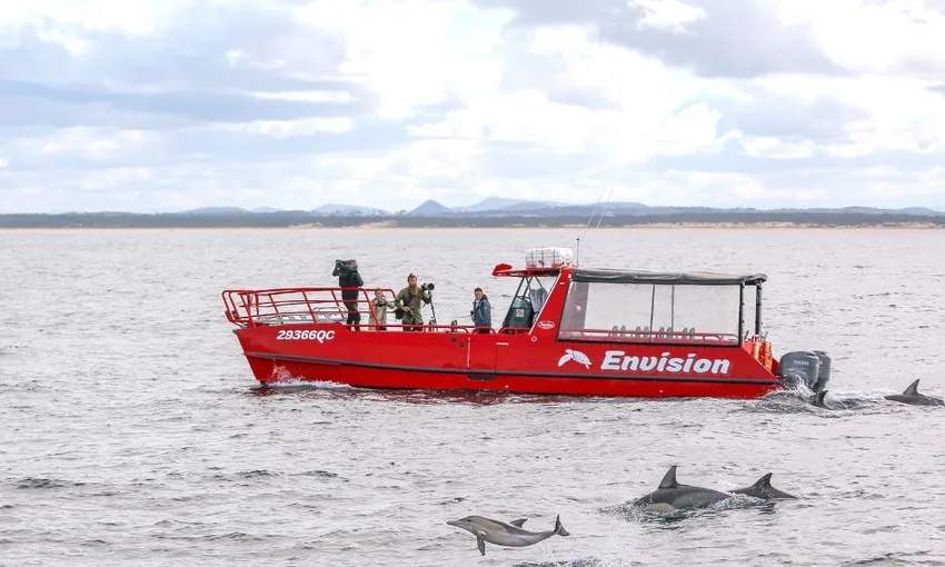 Port Stephens Dolphin Watch Express Cruise | Experience Oz