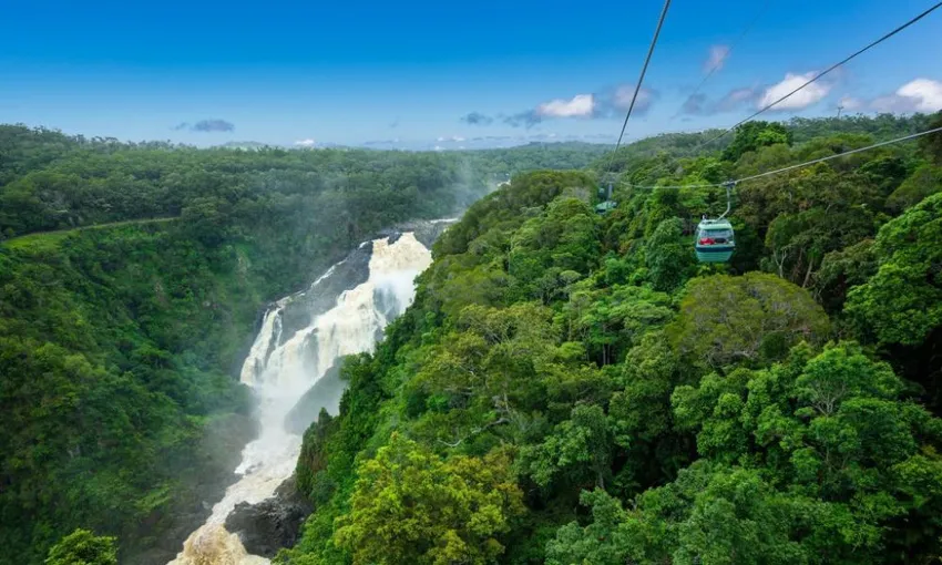 Cairns Waterfall, Wetlands and Skyrail Day Tour | Experience OZ