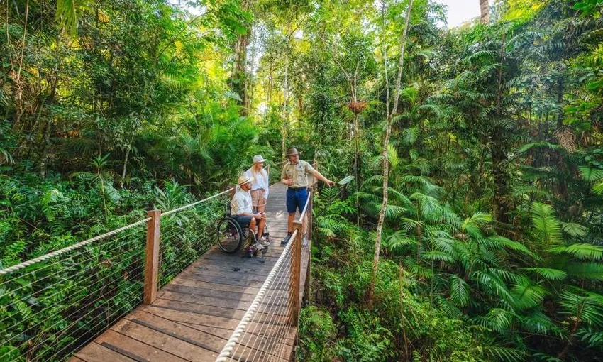 Cairns Waterfall, Wetlands and Skyrail Day Tour | Experience OZ