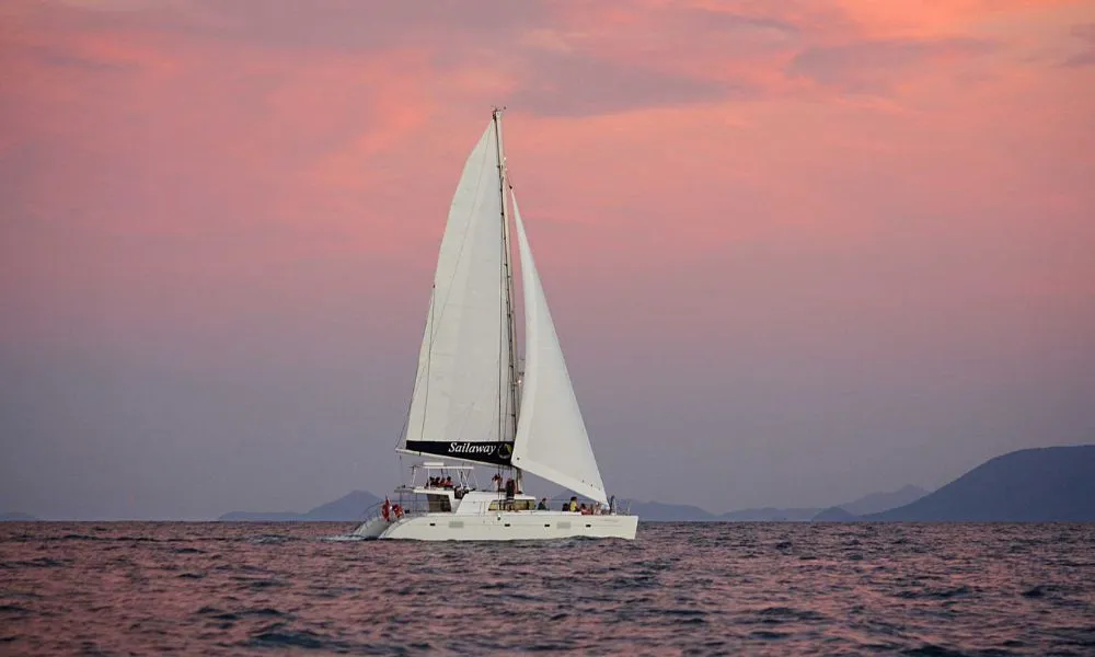 Sailaway Low Isles Afternoon Tour - Book Now | Experience Oz-2