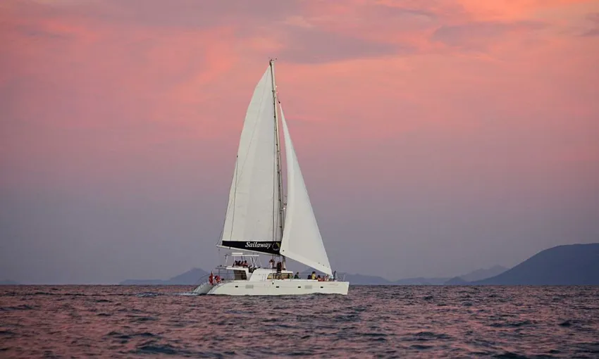 Sailaway Low Isles Afternoon Tour - Book Now | Experience Oz