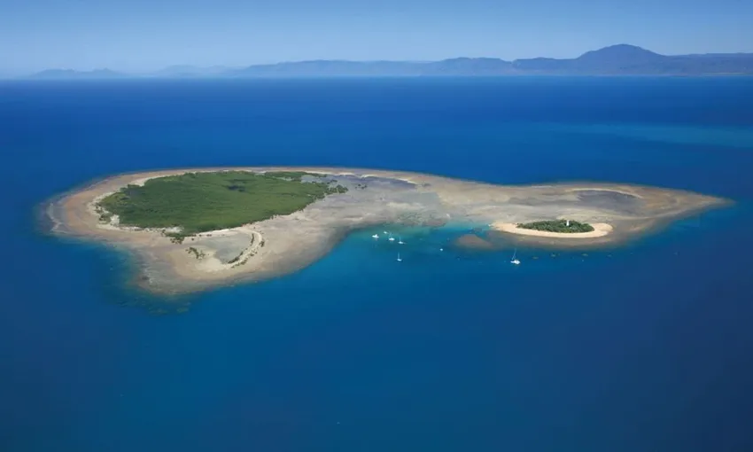 Sailaway Low Isles Afternoon Tour - Book Now | Experience Oz