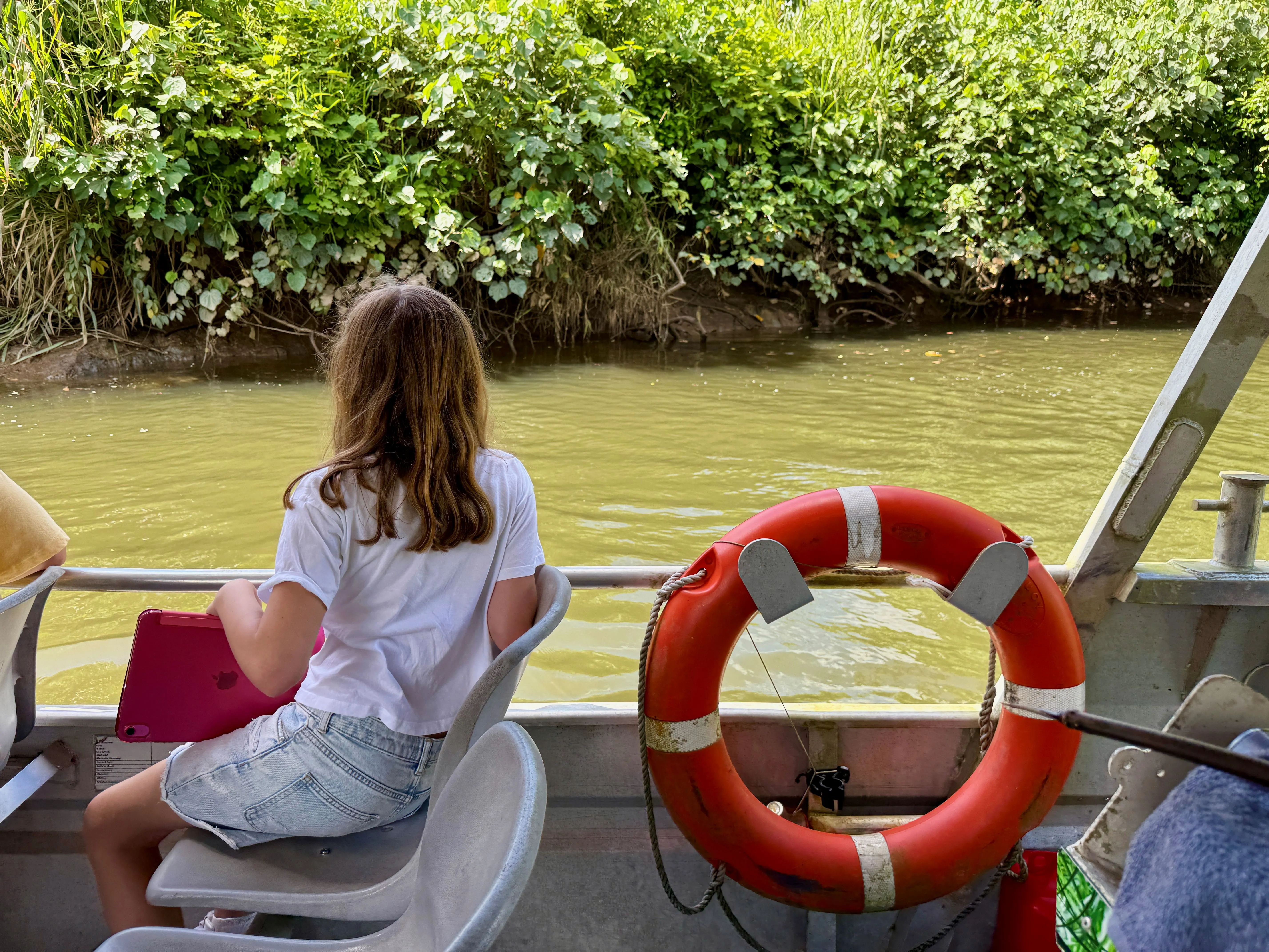 Daintree River and Mossman Gorge Tour - Half Day | Experience Oz-5