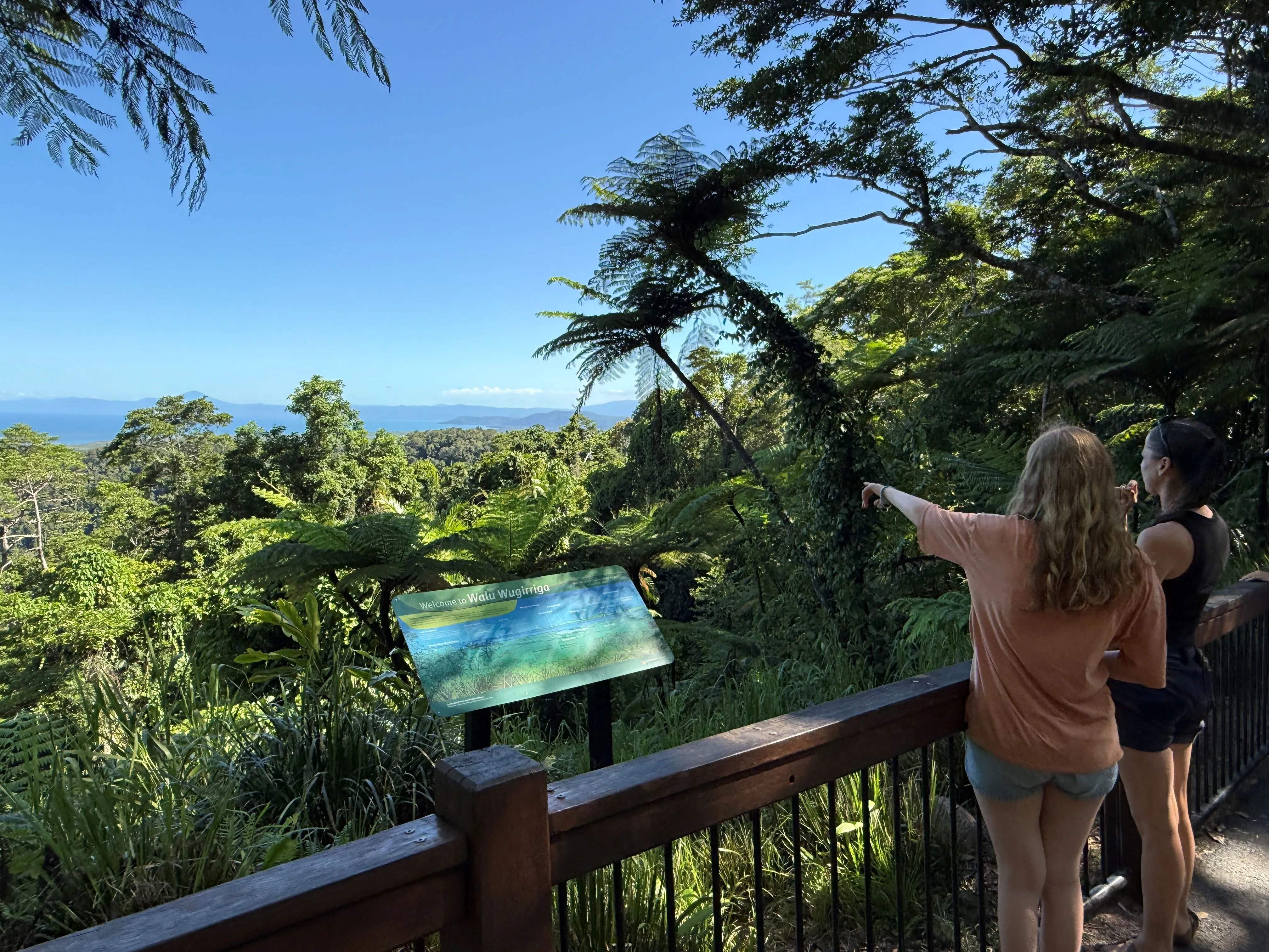 Daintree River and Mossman Gorge Tour - Half Day | Experience Oz-1