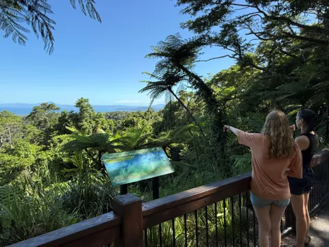 Daintree River and Mossman Gorge Tropic Tour - Half Day