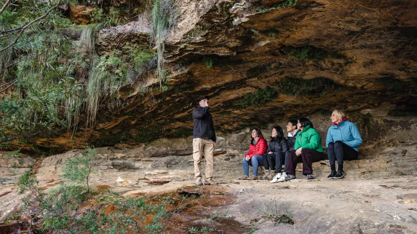 Activity Blue Mountains Nature and Wildlife Tour | Experience Oz