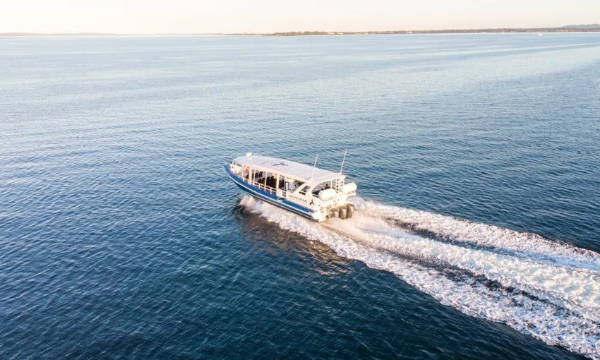 Whale Watching Cruise For 2.5 Hours