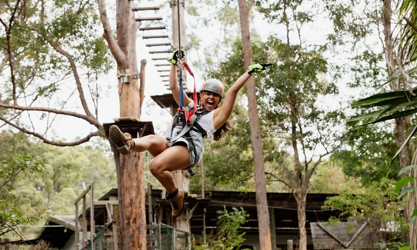 Gold Coast Hinterland Treetop Challenge | Experience Oz