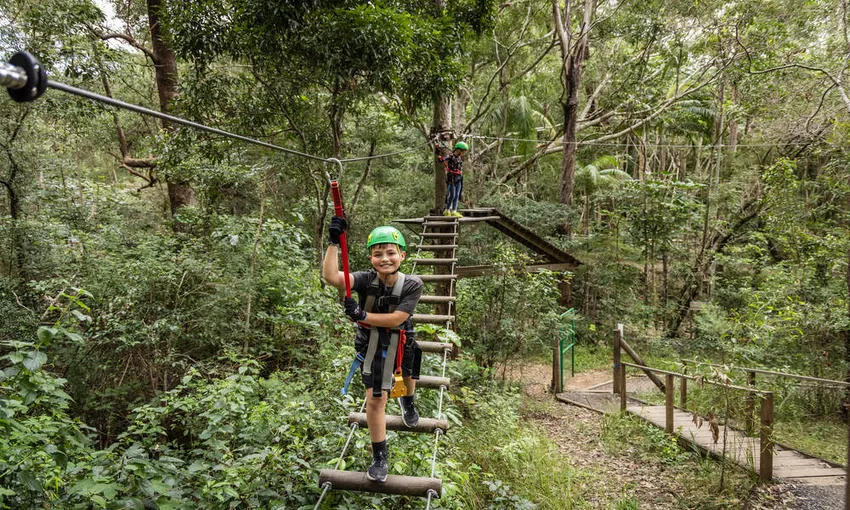 Gold Coast Hinterland Treetop Challenge | Experience Oz