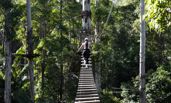Gold Coast Hinterland Treetop Challenge