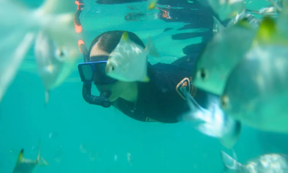 Moreton Island Day Tour From Gold Coast - Book Now | Experience Oz-5