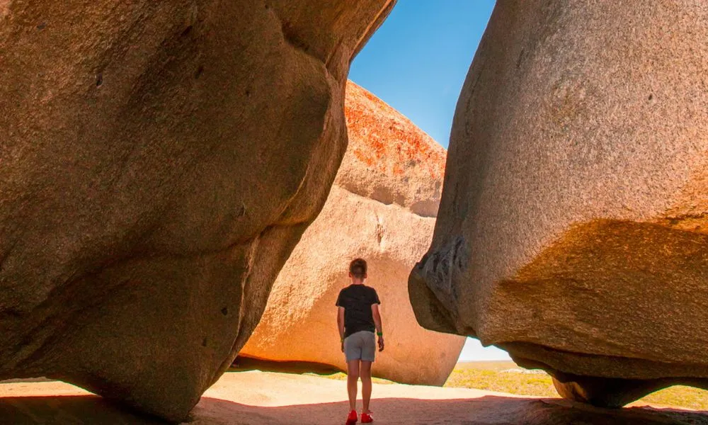 Kangaroo Island Iconic Sights and Wildlife| Experience Oz-6