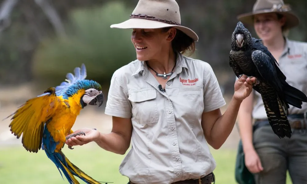 Kangaroo Island Iconic Sights and Wildlife| Experience Oz-4