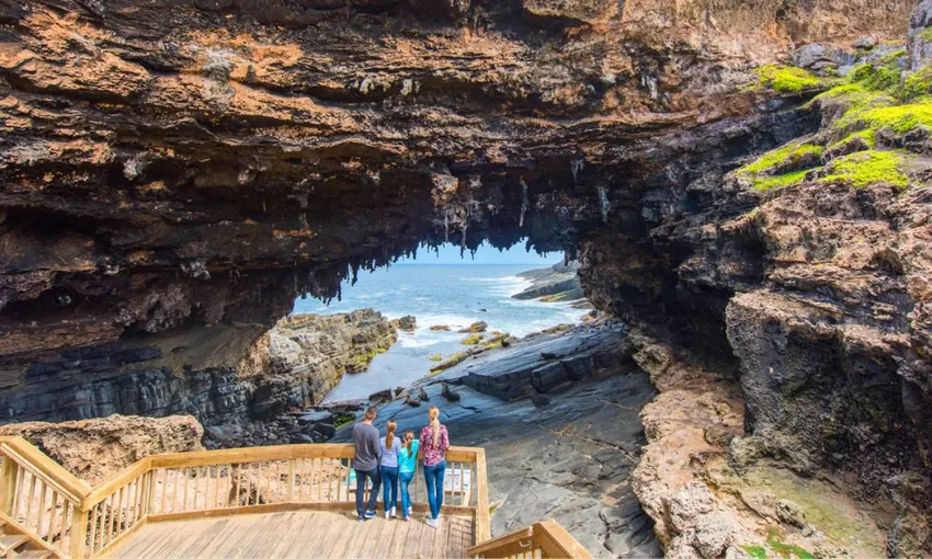 Kangaroo Island Iconic Sights and Wildlife| Experience Oz