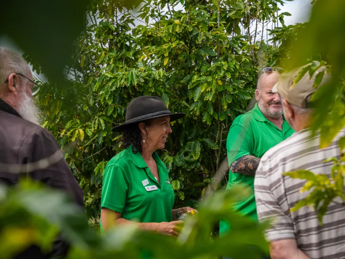 Airlie Beach Rainforest and Coast Adventure | Experience Oz
