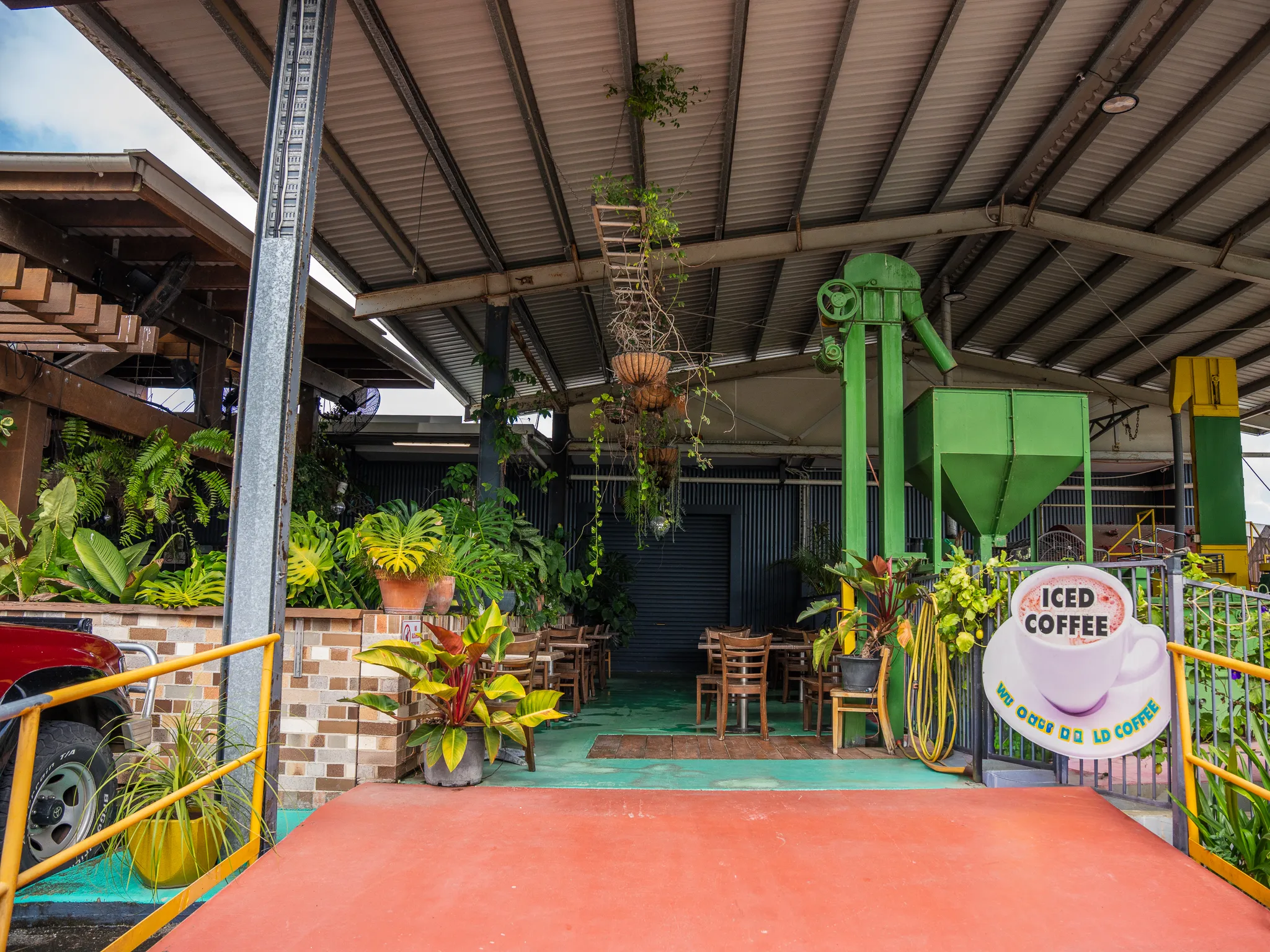 Airlie Beach Rainforest and Coast Adventure | Experience Oz-10