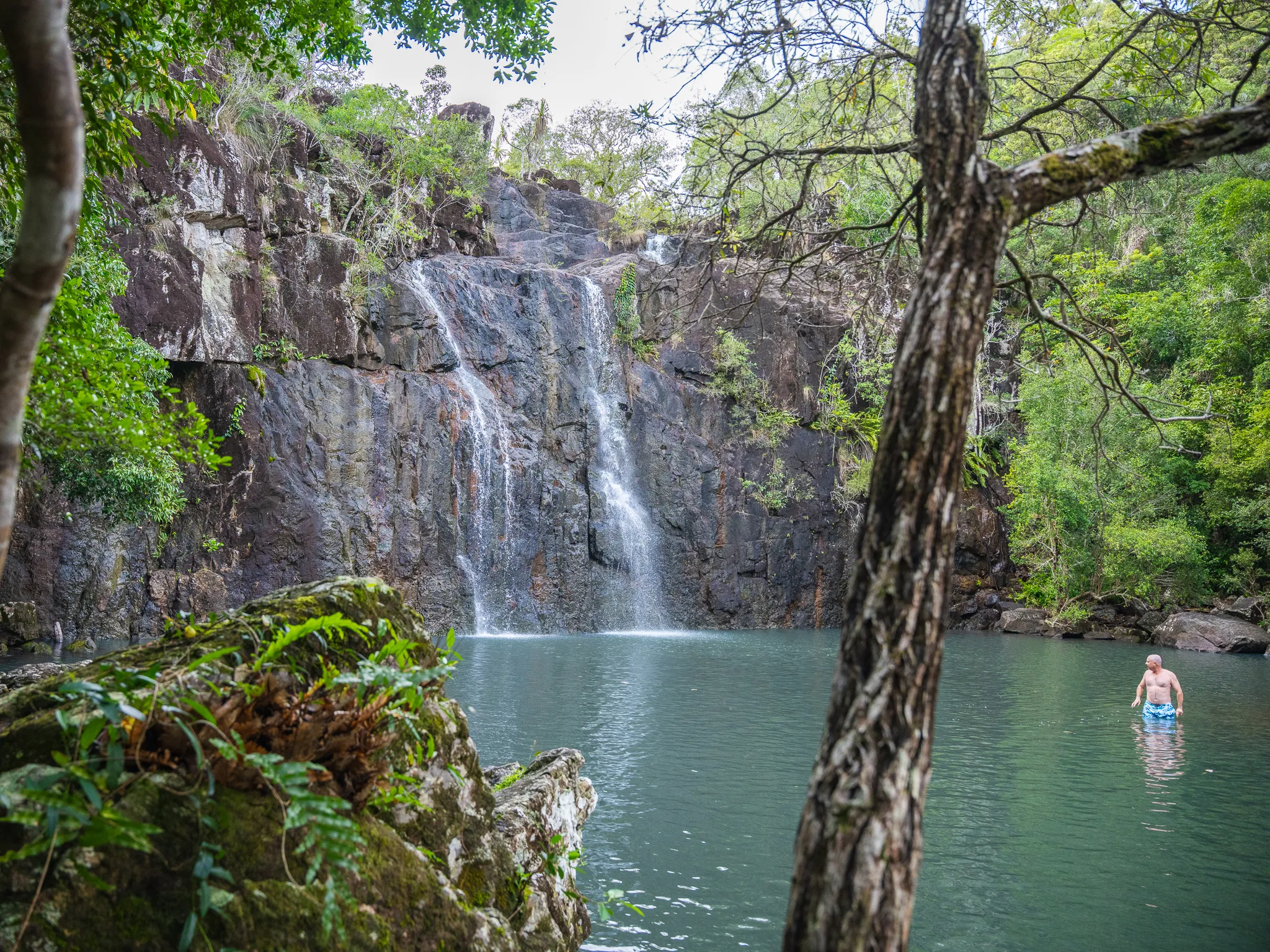 Airlie Beach Rainforest and Coast Adventure | Experience Oz-18