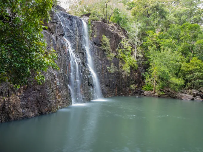 Airlie Beach Rainforest and Coast Adventure | Experience Oz