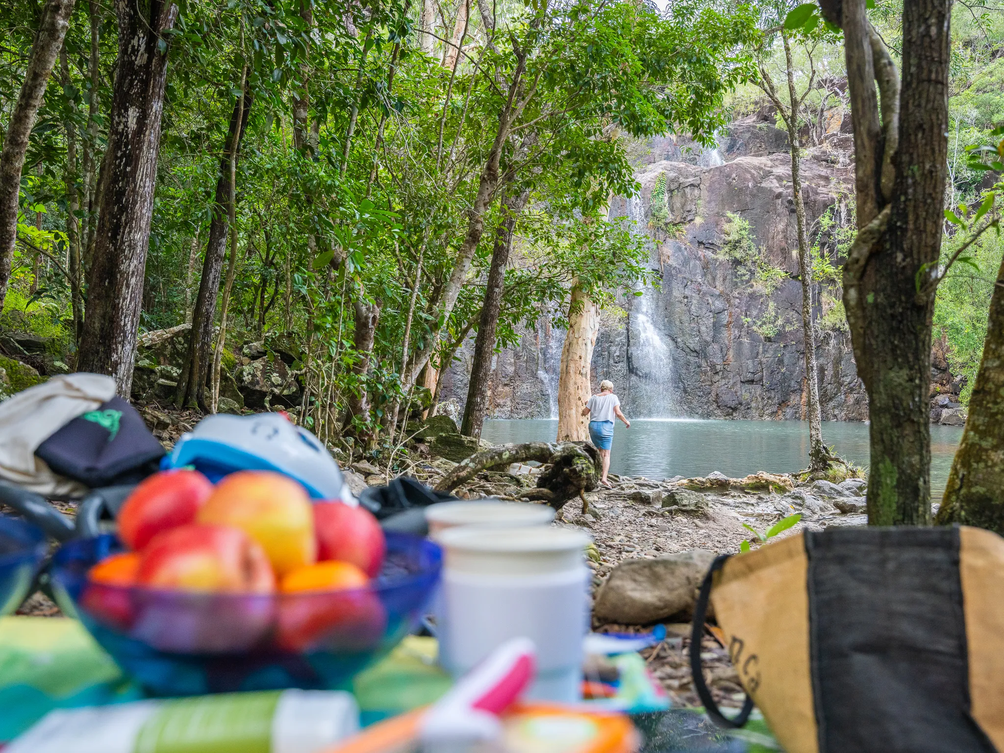 Airlie Beach Rainforest and Coast Adventure | Experience Oz-20