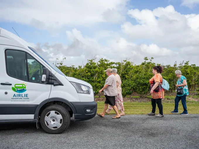 Airlie Beach Rainforest and Coast Adventure | Experience Oz