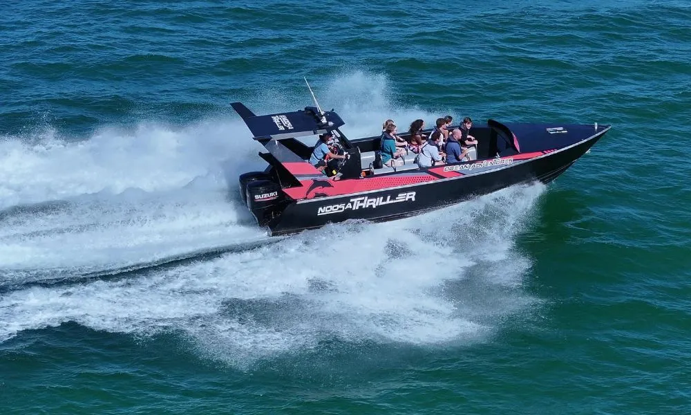 Noosa Thriller Whale Watch - 2 Hours | Book Now | Local Agent -3