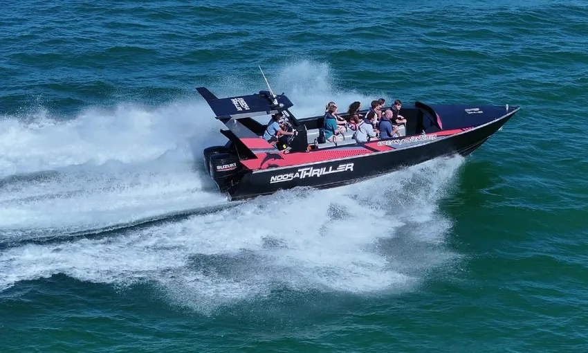 Noosa Thriller Whale Watch - 2 Hours | Book Now | Local Agent 