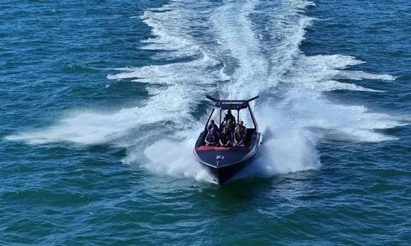 Noosa Thriller Whale Watch - 2 Hours 